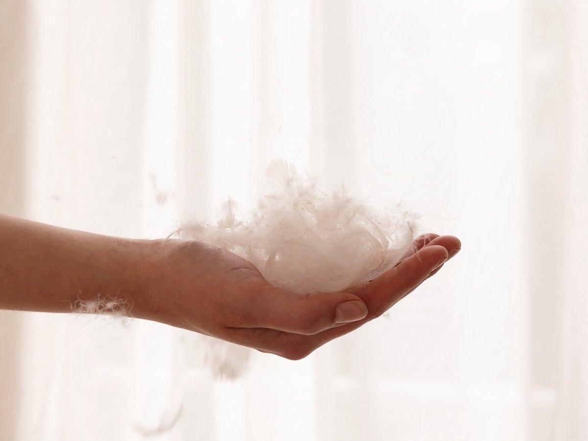 Yumeko hoofdkussen gerecycled dons 60x70 stevig - Biologisch & ecologisch