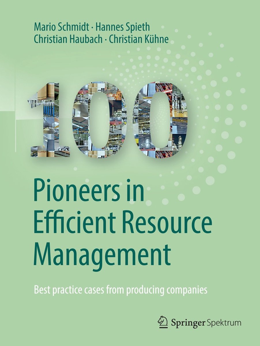 100 Pioneers In Efficient Resource Management van Mario Schmidt