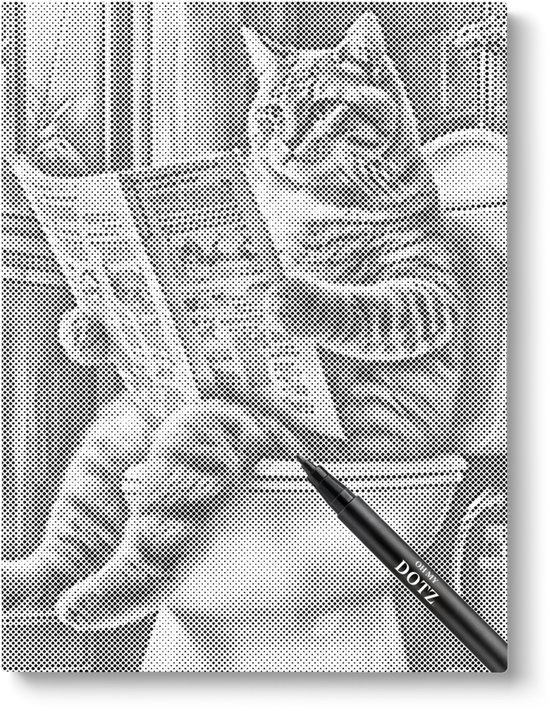 Chat sur les toilettes 2 | 30x40cm | Peinture par points | Toile lâche | Peinture au Diamond et Peinture par numéro alternative | Peinture en pointillé