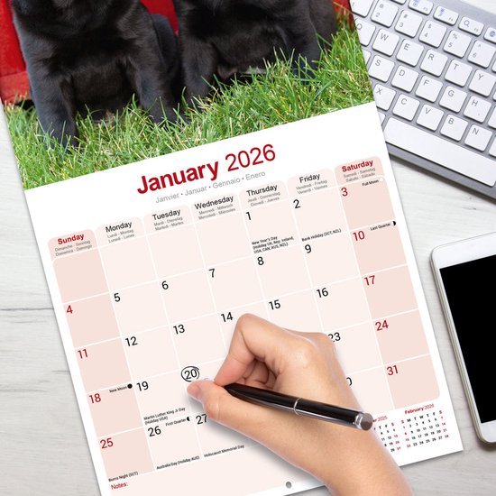 Calendrier Labrador Retriever Zwart 2026