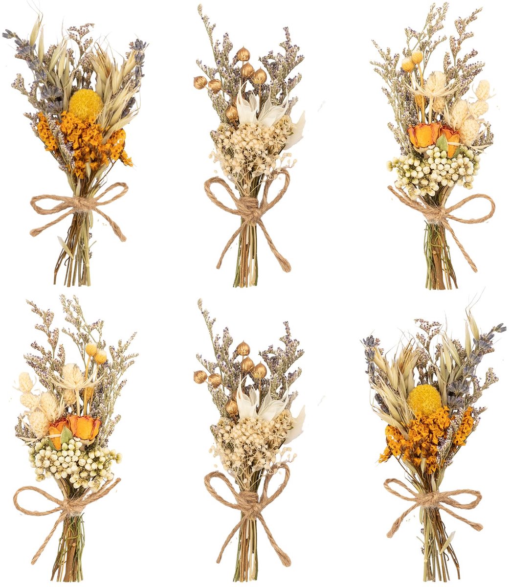 Ibenzoa Gedroogde Bloemen Set voor Creatieve Decoratie en Ambachtelijke Projecten