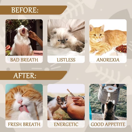 Collage 'voor en na' katten die zilverstruikspeeltjes gebruiken. Boven: slechte adem, lusteloos, anorexia. Onder: frisse adem, energiek, goede eetlust.