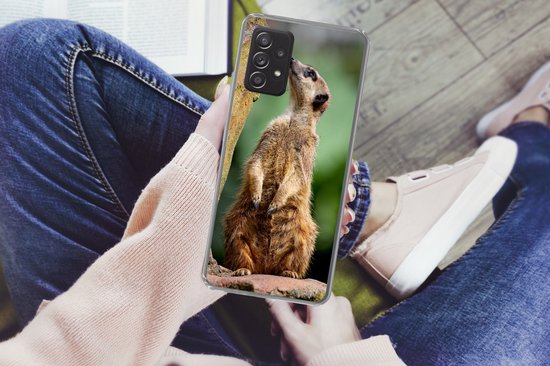Convient pour la coque Samsung Galaxy A53 5G - Suricate - Animal - Roche - Coque de téléphone en Siliconen