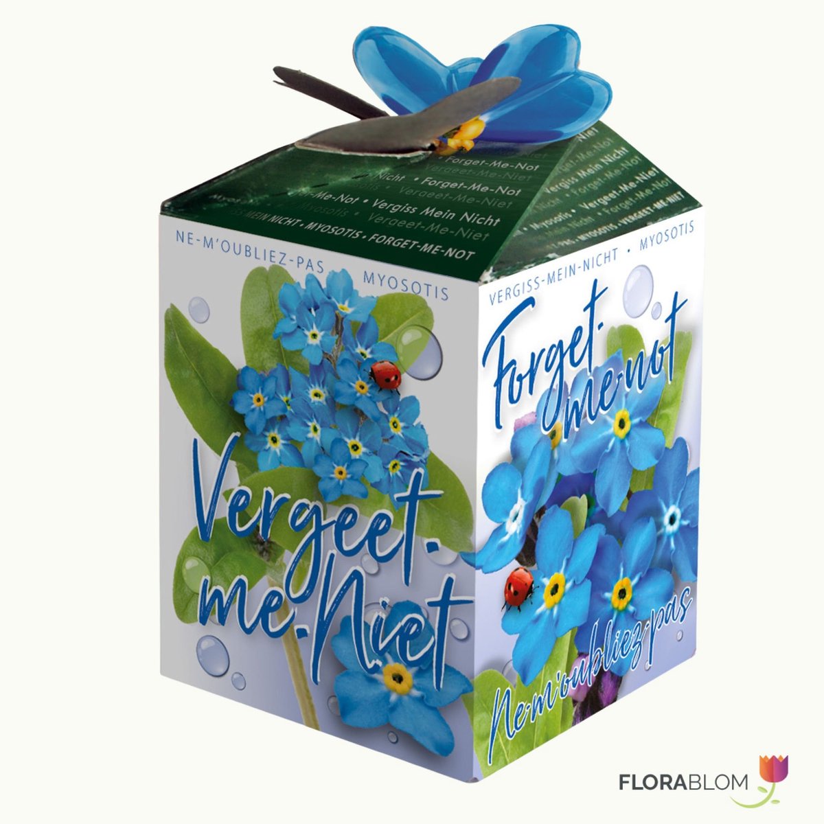 Vergeet-me-niet Greengift - (Ook)-Voor in huis - bloeit in Mei / Juni / Juli