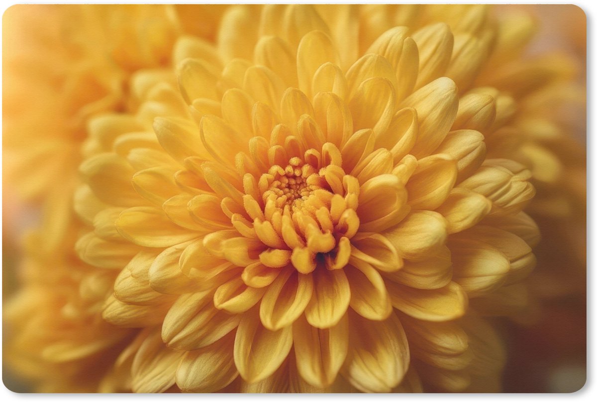 Muismat XXL 120x80 cm - Bureau onderlegger - Bureau mat Geel - Chrysant - Zachtheid - Bureaumat - Gaming mousepad xl - Bureaulegger groot - Computer deskmat