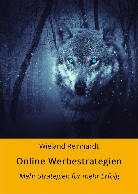 Online Marketing 1 - Online Werbestrategien - cover