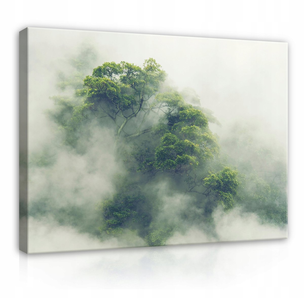 WALLARENA Canvas schilderij - 60x40 cm - Schilderij van een mistig bos in de jungle multikleurig