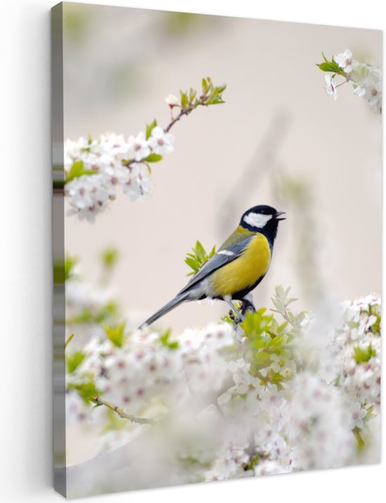 Tuinschilderij voor buiten 50x70 cm - Tuindecoratie Vogel - Koolmees - Bloemen - Bloesemboom - Tuinposter op canvas - Tuin muurdecoratie - Buitenschilderij decoratie - Schutting wanddecoratie - Buitencanvas