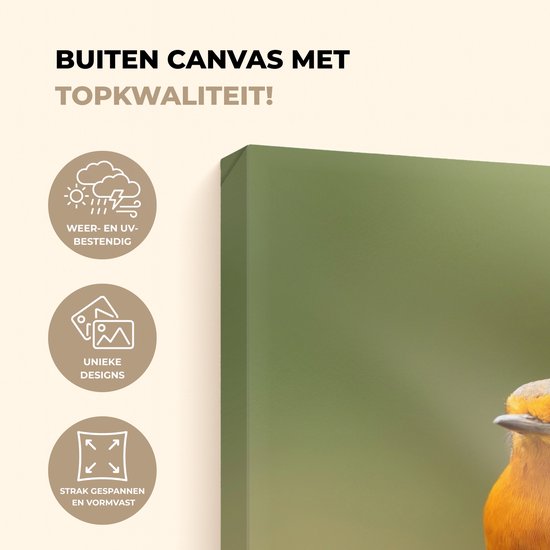 Tuinschilderij voor buiten 50x70 cm - Tuindecoratie Vogel - Roodborstje - Dennenappel - Tak - Herfst - Tuinposter op canvas - Tuin muurdecoratie - Buitenschilderij decoratie - Schutting wanddecoratie - Buitencanvas