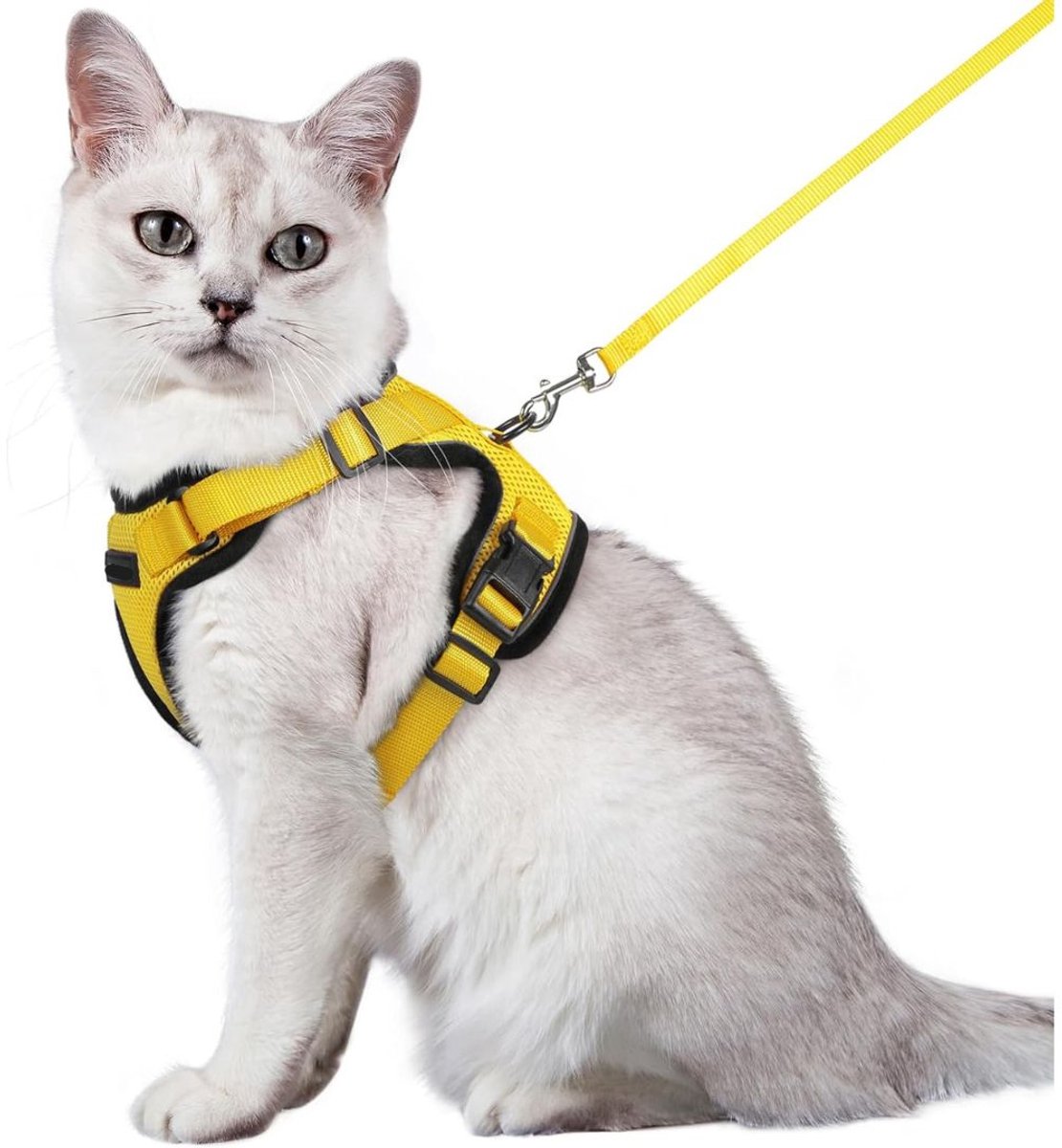 GTB® Kattentuigje met Looplijn - Kattentuigje - Kattenharnas - Geel - 22cm x 16cm x 5cm