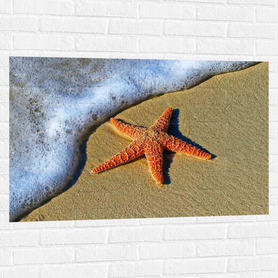 WallClassics - Muursticker - Oranje Zeester bij Schuimende Golven op het Strand - 105x70 cm Foto op Muursticker