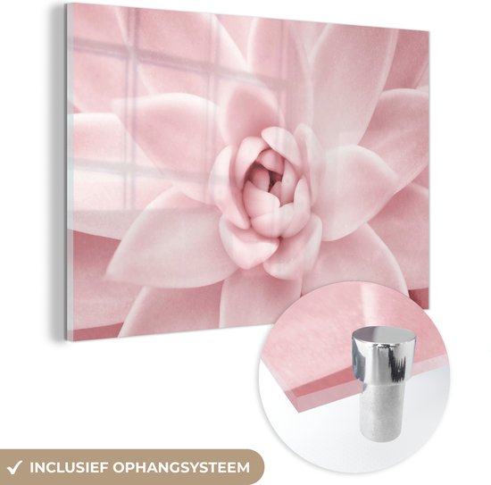 MuchoWow® Glasschilderij 150x100 cm - Schilderij acrylglas - Bloem - Roze - Natuur - Plant - Foto op glas - Schilderijen