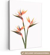 Canvas Schilderij Bloemen - Oranje - Natuur - Planten - 60x80 cm - Wanddecoratie