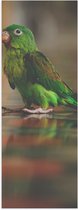 Poster Glanzend – Tovi Parkiet Lopend over Stenen Vloer - 20x60 cm Foto op Posterpapier met Glanzende Afwerking