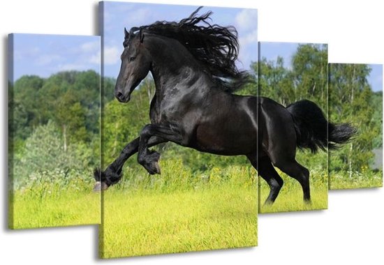 GroepArt - Schilderij -  Paard - Zwart, Groen, Blauw - 160x90cm 4Luik - Schilderij Op Canvas - Foto Op Canvas