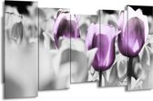 GroepArt - Canvas Schilderij - Tulpen - Paars, Grijs, Wit - 150x80cm 5Luik- Groot Collectie Schilderijen Op Canvas En Wanddecoraties