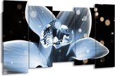GroepArt - Canvas Schilderij - Iris - Blauw, Zwart - 150x80cm 5Luik- Groot Collectie Schilderijen Op Canvas En Wanddecoraties