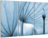 GroepArt - Schilderij -  Bloem - Blauw - 120x80cm 3Luik - 6000+ Schilderijen 0p Canvas Art Collectie
