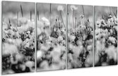 GroepArt - Glasschilderij - Bloemen - Grijs, Zwart - 160x80cm 4Luik - Foto Op Glas - Geen Acrylglas Schilderij - 6000+ Glasschilderijen Collectie - Wanddecoratie