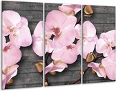 Glasschilderij Orchidee, Bloemen - Grijs, Roze - 120x80cm 3Luik - Foto Op Glas - Geen Acrylglas Schilderij - GroepArt 6000+ Glas Art Collectie - Maatwerk Mogelijk