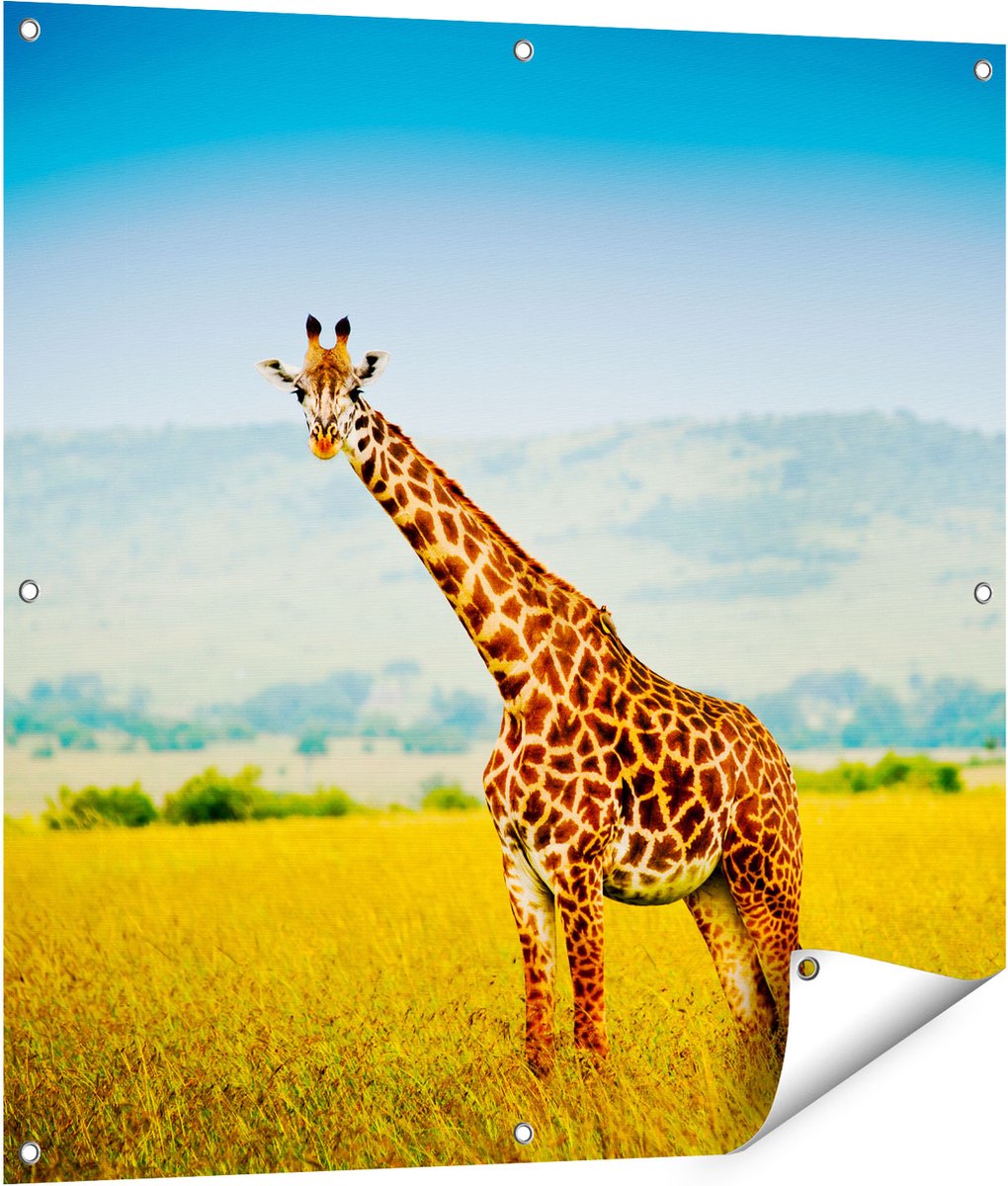 Gards Tuinposter Giraffe in het Veld - 90x90 cm - Tuindoek - Tuindecoratie - Wanddecoratie buiten - Tuinschilderij Multikleur