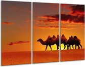 Glasschilderij Kameel - Oranje, Bruin, Geel - 120x80cm 3Luik - Foto Op Glas - Geen Acrylglas Schilderij - GroepArt 6000+ Glas Art Collectie - Maatwerk Mogelijk