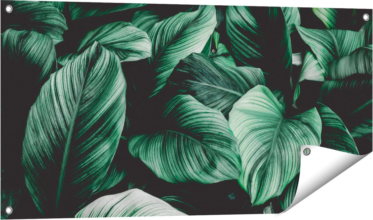 Gards Tuinposter Tropische Groene Bladeren - 100x50 cm - Tuindoek - Tuindecoratie - Wanddecoratie buiten - Tuinschilderij Multikleur