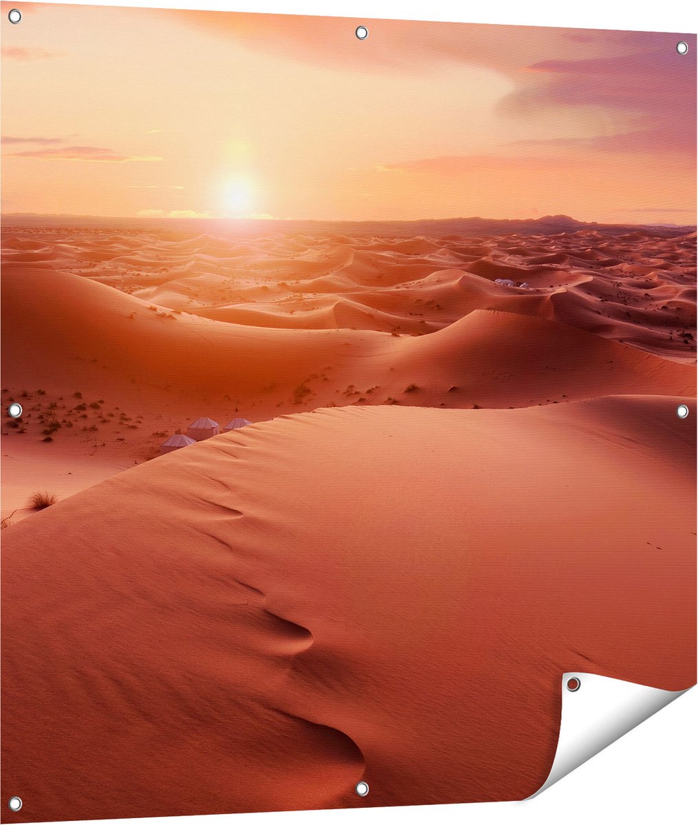 Gards Tuinposter Woestijn in de Sahara bij Zonsondergang - 100x100 cm - Tuindoek - Tuindecoratie - Wanddecoratie buiten - Tuinschilderij Multikleur