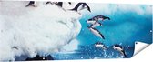 Gards Tuinposter Kudde Pingu�ns Springen vanaf een Rots - 180x60 cm - Tuindoek - Tuindecoratie - Wanddecoratie buiten - Tuinschilderij