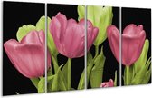 GroepArt - Glasschilderij - Tulpen - Roze, Groen, Zwart - 160x80cm 4Luik - Foto Op Glas - Geen Acrylglas Schilderij - 6000+ Glasschilderijen Collectie - Wanddecoratie