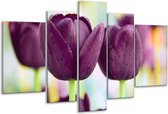 Peinture sur verre tulipe | Violet vert | 170x100cm 5 Liège | Tirage photo sur verre |  F002651