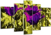 Peinture sur verre tulipe | Violet, vert, blanc | 170x100cm 5 Liège | Tirage photo sur verre |  F003738