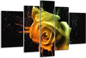 Glasschilderij Roos - Oranje, Geel, Groen - 170x100cm 5Luik - Foto Op Glas - Geen Acrylglas Schilderij - 6000+ Glasschilderijen Collectie - Wanddecoratie