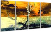 GroepArt - Glasschilderij - Natuur - Geel, Bruin, Wit - 160x80cm 4Luik - Foto Op Glas - Geen Acrylglas Schilderij - 6000+ Glasschilderijen Collectie - Wanddecoratie