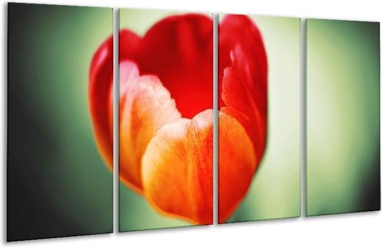 GroepArt - Glasschilderij - Tulp - Oranje, Rood, Groen - 160x80cm 4Luik - Foto Op Glas - Geen Acrylglas Schilderij - 6000+ Glasschilderijen Collectie - Wanddecoratie