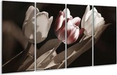GroepArt - Glasschilderij - Tulp - Bruin, Grijs, Wit - 160x80cm 4Luik - Foto Op Glas - Geen Acrylglas Schilderij - 6000+ Glasschilderijen Collectie - Wanddecoratie