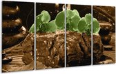 Peinture sur verre d'orchidée | Vert, marron | 160x80cm 4 Liège | Tirage photo sur verre |  F004500