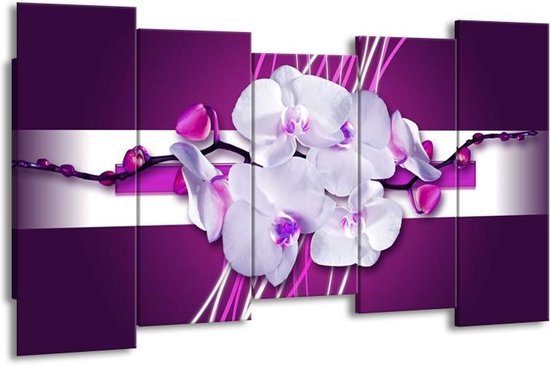 Canvas schilderij Orchidee | Paars, Wit | | F005769