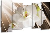 GroepArt - Canvas Schilderij - Orchidee - Wit, Bruin - 150x80cm 5Luik- Groot Collectie Schilderijen Op Canvas En Wanddecoraties