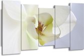 GroepArt - Canvas Schilderij - Orchidee - Wit, Geel, Groen - 150x80cm 5Luik- Groot Collectie Schilderijen Op Canvas En Wanddecoraties