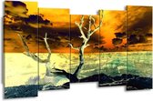 Canvas schilderij Natuur | Geel, Bruin, Wit | 150x80cm 5Luik