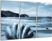 Glasschilderij Schelp, Strand - Blauw - 120x80cm 3Luik - Foto Op Glas - Geen Acrylglas Schilderij - GroepArt 6000+ Glas Art Collectie - Maatwerk Mogelijk