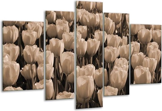 Peinture sur verre tulipes | Sépia, Marron | 170x100cm 5 Liège | Tirage photo sur verre |  F001935