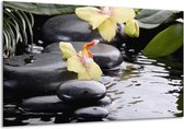 Peinture sur verre d'orchidée | Jaune, noir, blanc | 120x70cm 1Hatch | Tirage photo sur verre |  F004030