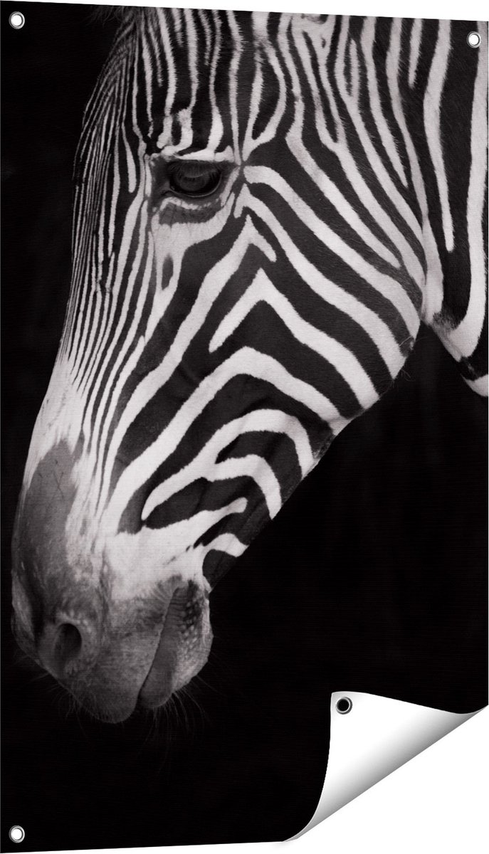 Gards Tuinposter Zebra Kop vanaf de Zijkant - Zwart Wit - 60x90 cm - Tuindoek - Tuindecoratie - Wanddecoratie buiten - Tuinschilderij Multikleur