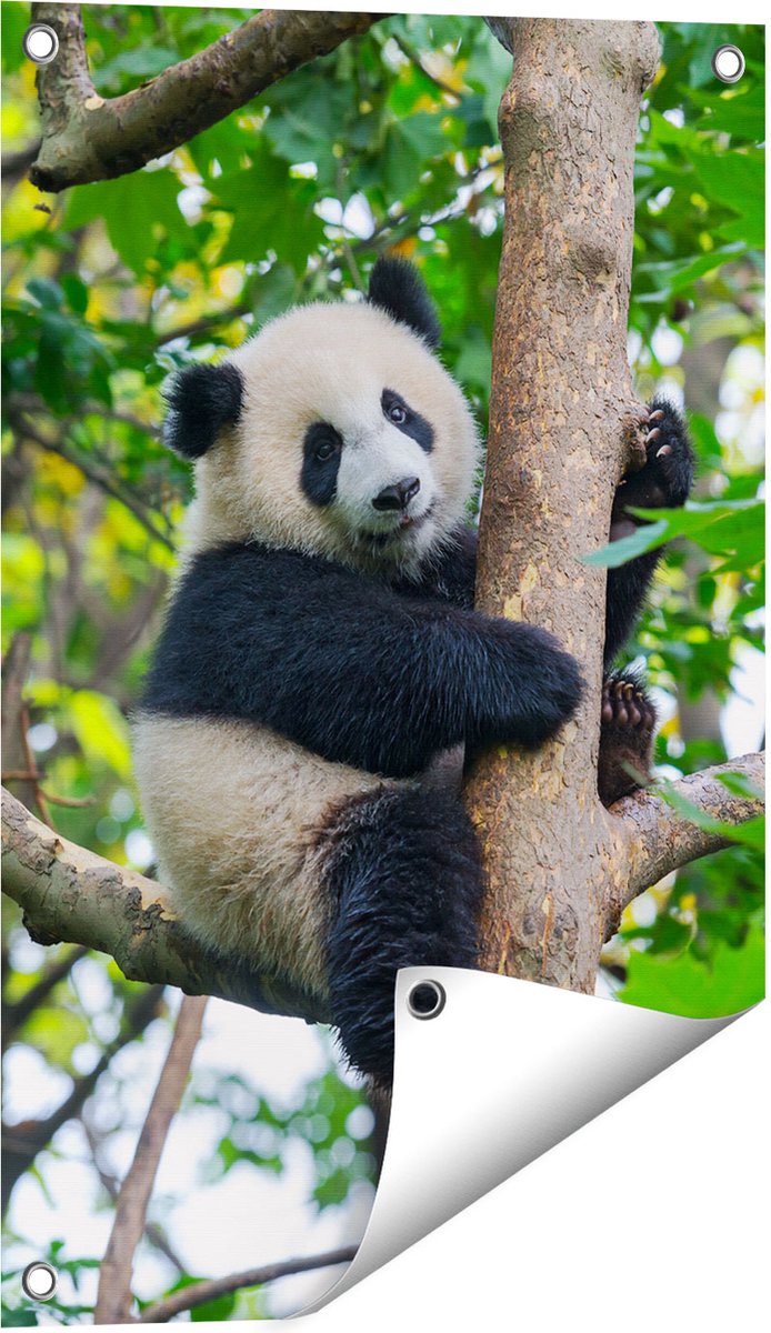 Gards Tuinposter Panda in de Bomen - 40x60 cm - Tuindoek - Tuindecoratie - Wanddecoratie buiten - Tuinschilderij Multikleur