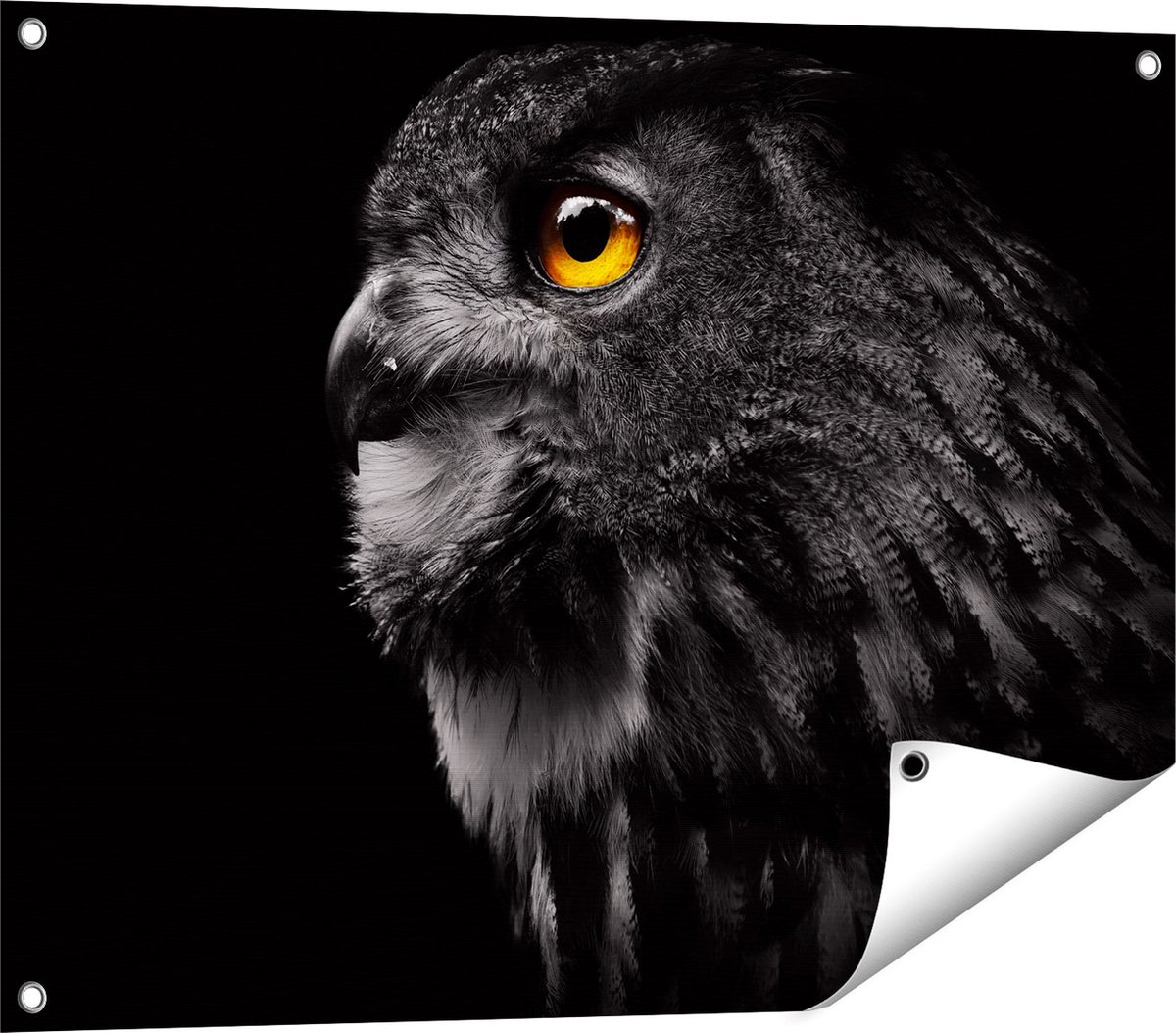 Gards Tuinposter Zwarte Uil met Gouden Ogen - 80x60 cm - Tuindoek - Tuindecoratie - Wanddecoratie buiten - Tuinschilderij Multikleur