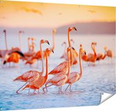 Gards Tuinposter Kudde Flamingo's in het Water - 150x120 cm - Tuindoek - Tuindecoratie - Wanddecoratie buiten - Tuinschilderij