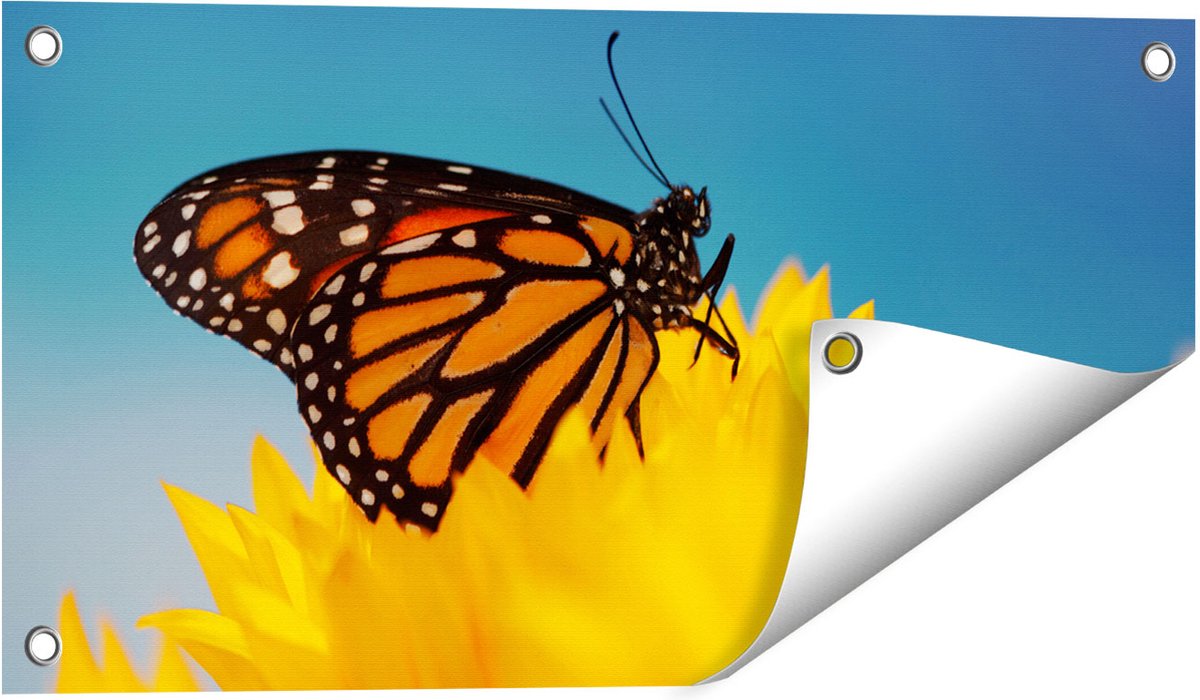 Gards Tuinposter Oranje Vlinder bij een Zonnebloem - 60x30 cm - Tuindoek - Tuindecoratie - Wanddecoratie buiten - Tuinschilderij Multikleur