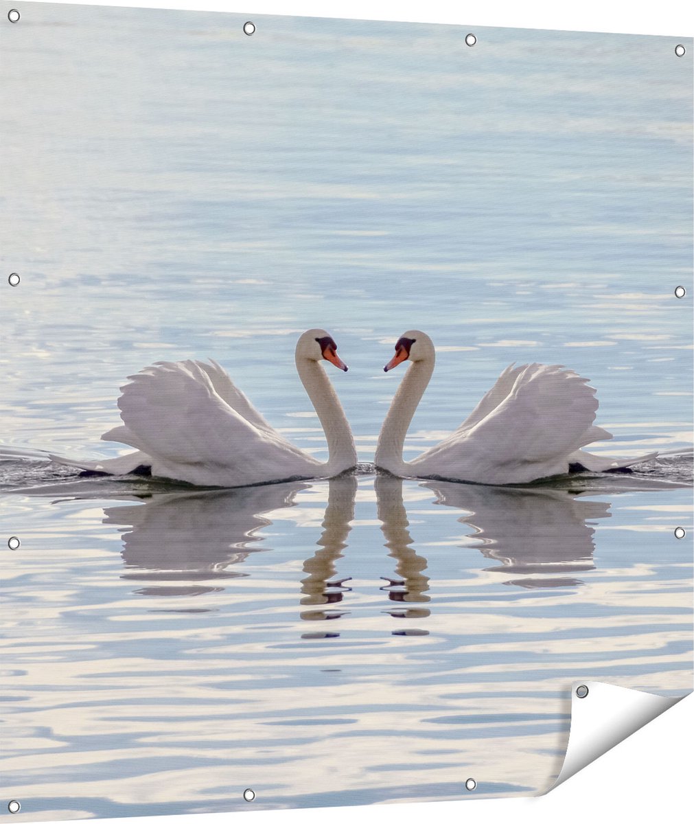 Gards Tuinposter Zwanen Koppel op het Water - 110x110 cm - Tuindoek - Tuindecoratie - Wanddecoratie buiten - Tuinschilderij Multikleur